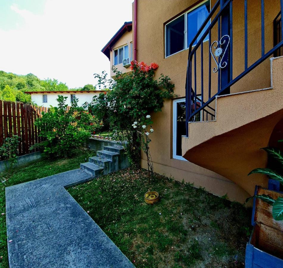 Hotel Casa Ostrov Călimăneşti Exterior foto