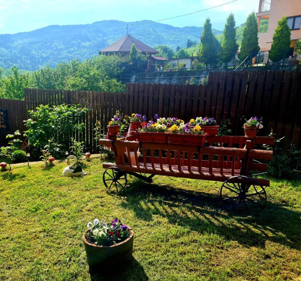Hotel Casa Ostrov Călimăneşti Exterior foto